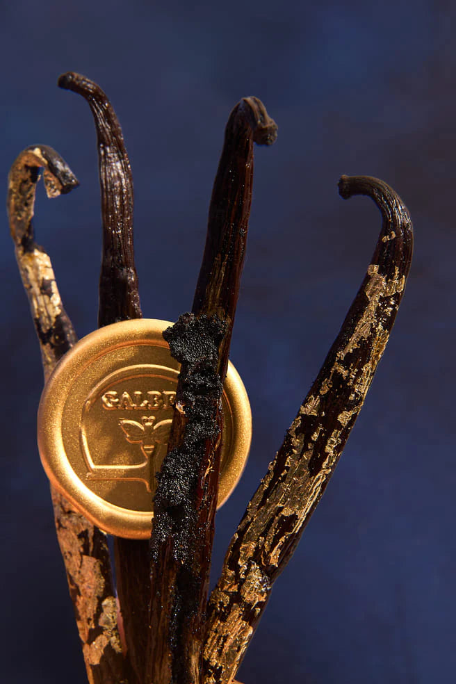 Predpredaj: Parfum Note of Galb - Galbee